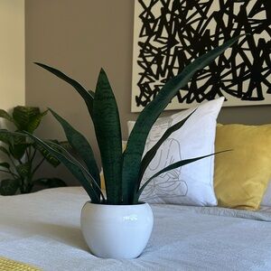 Green Faux Snake Plant in White Pot